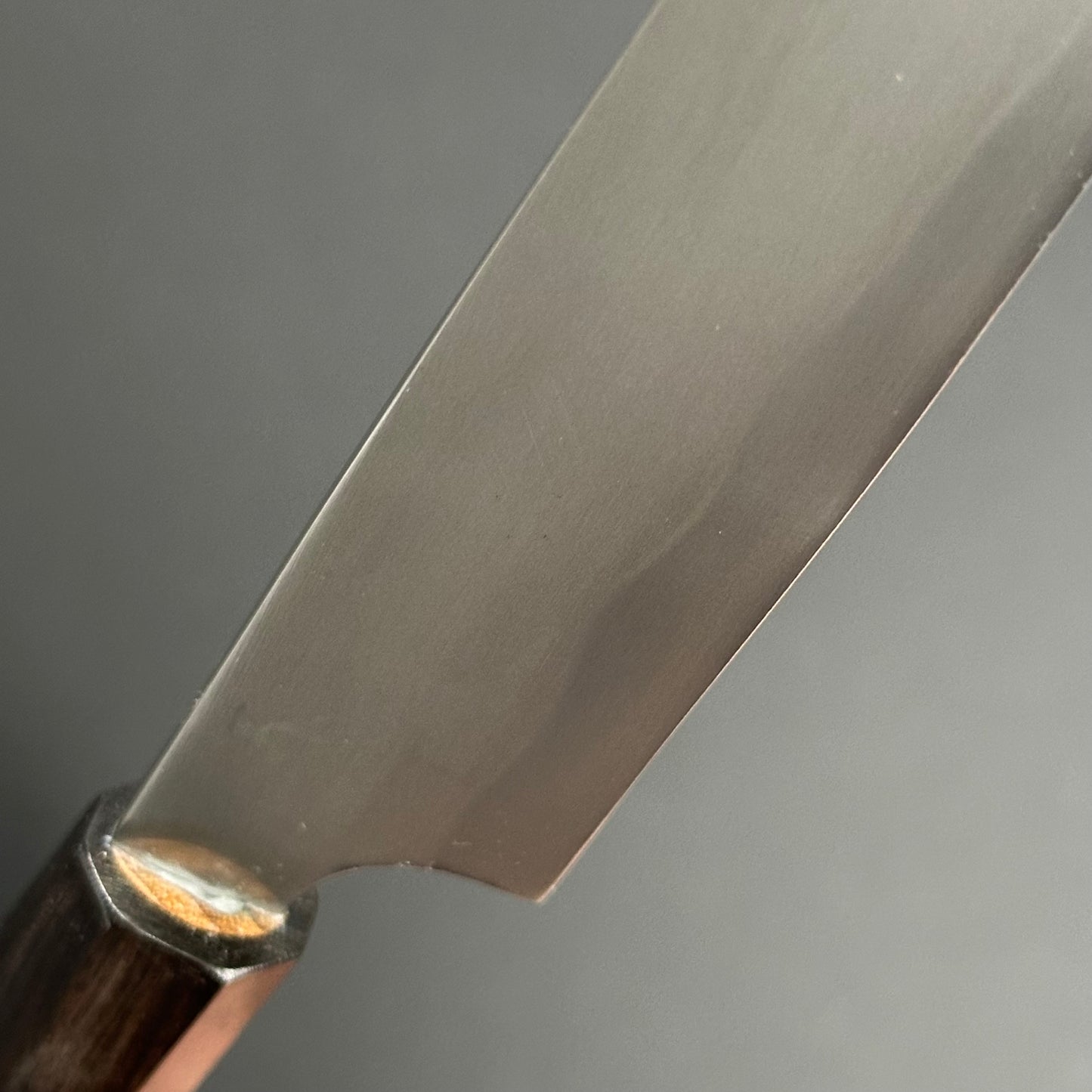 Petty 135mm (5.3 in) Blue#2 Kobuse Forging