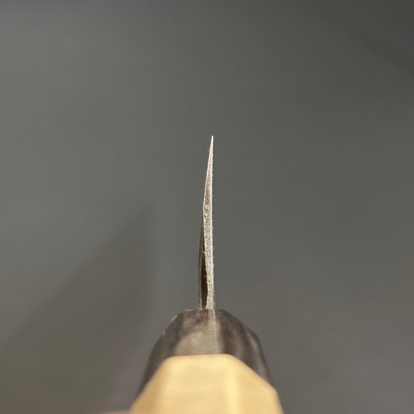 Usuba 195 mm (7.7 in) Blue#2 Single Bevel (Right Hand)