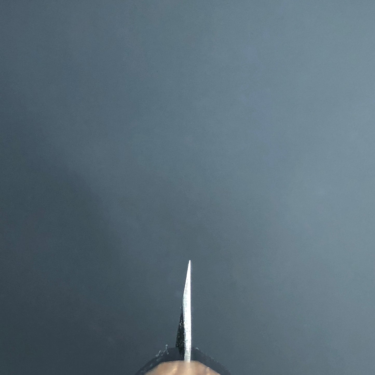 Yanagiba Kurouchi Black finished 270mm (10.6in) Aogami (Blue) No.2 Single-Bevel