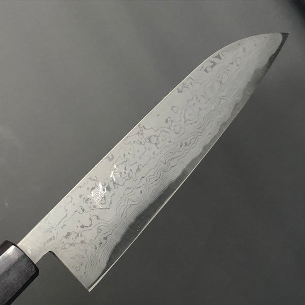 Japanese Damascus Steel Knives with Blue Resin Infused Wood Handle –  KanazawaKnives