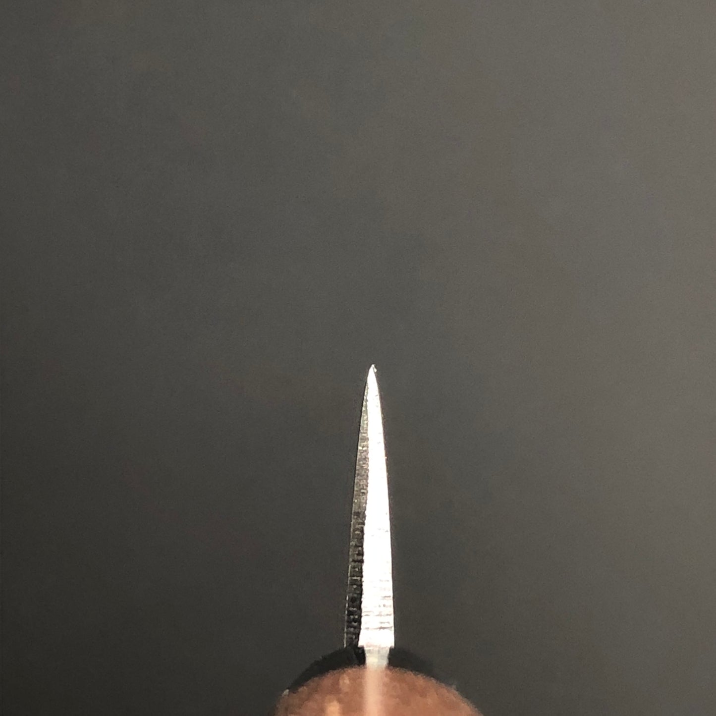 Deba (Sabaki) Kurouchi 165 mm (6.5 in) Aogami (Blue) #2 Double-Bevel