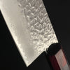 Gyuto 240mm (9.4 in) AUS8 Stainless Steel Hammered Damascus Double-Bevel 