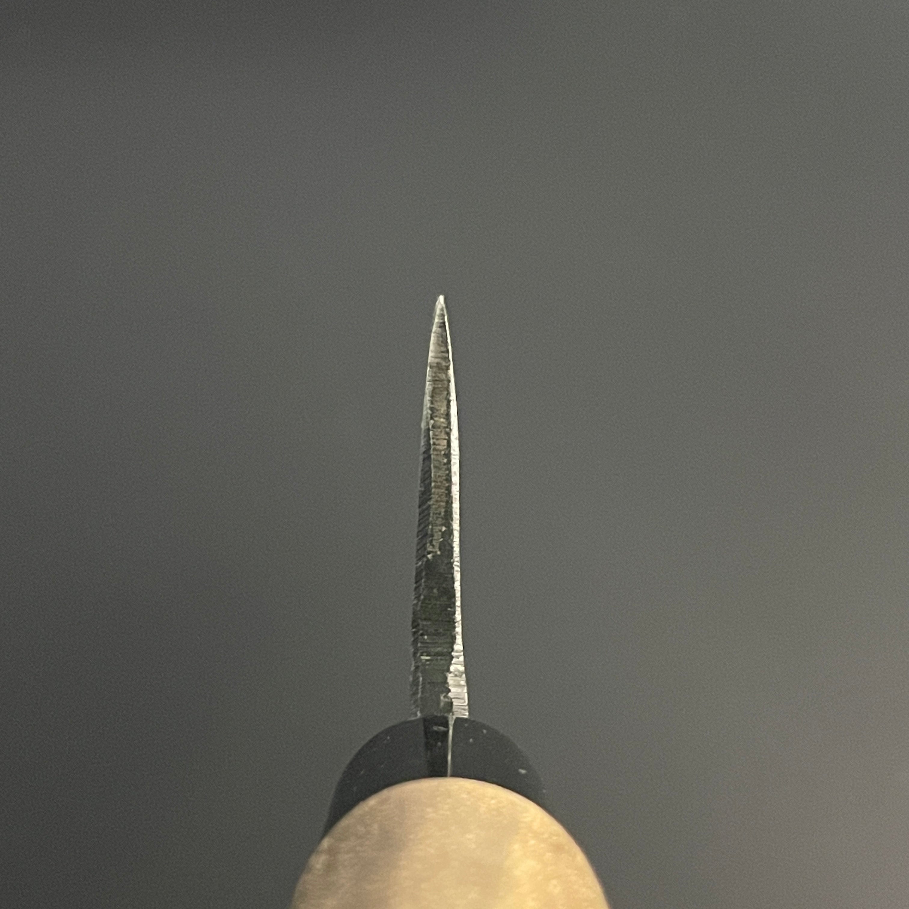 Deba 165 mm (6.5 in) Blue#2 – Yoshimune Knives Kyoto
