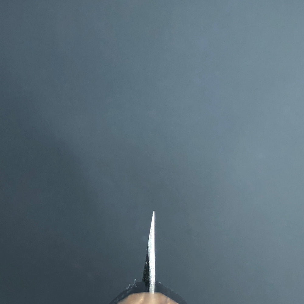 
                  
                    Yanagiba Kurouchi Black finished 270mm (10.6in) Aogami (Blue) No.2 Single-Bevel
                  
                