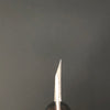 Deba 165 mm (6.5 in) Ginsan (Silver #3) Single-Bevel