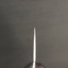 Gyuto 210 mm (8.3 in) Ginsan (Silver #3) Nashiji-Finish Double-Bevel