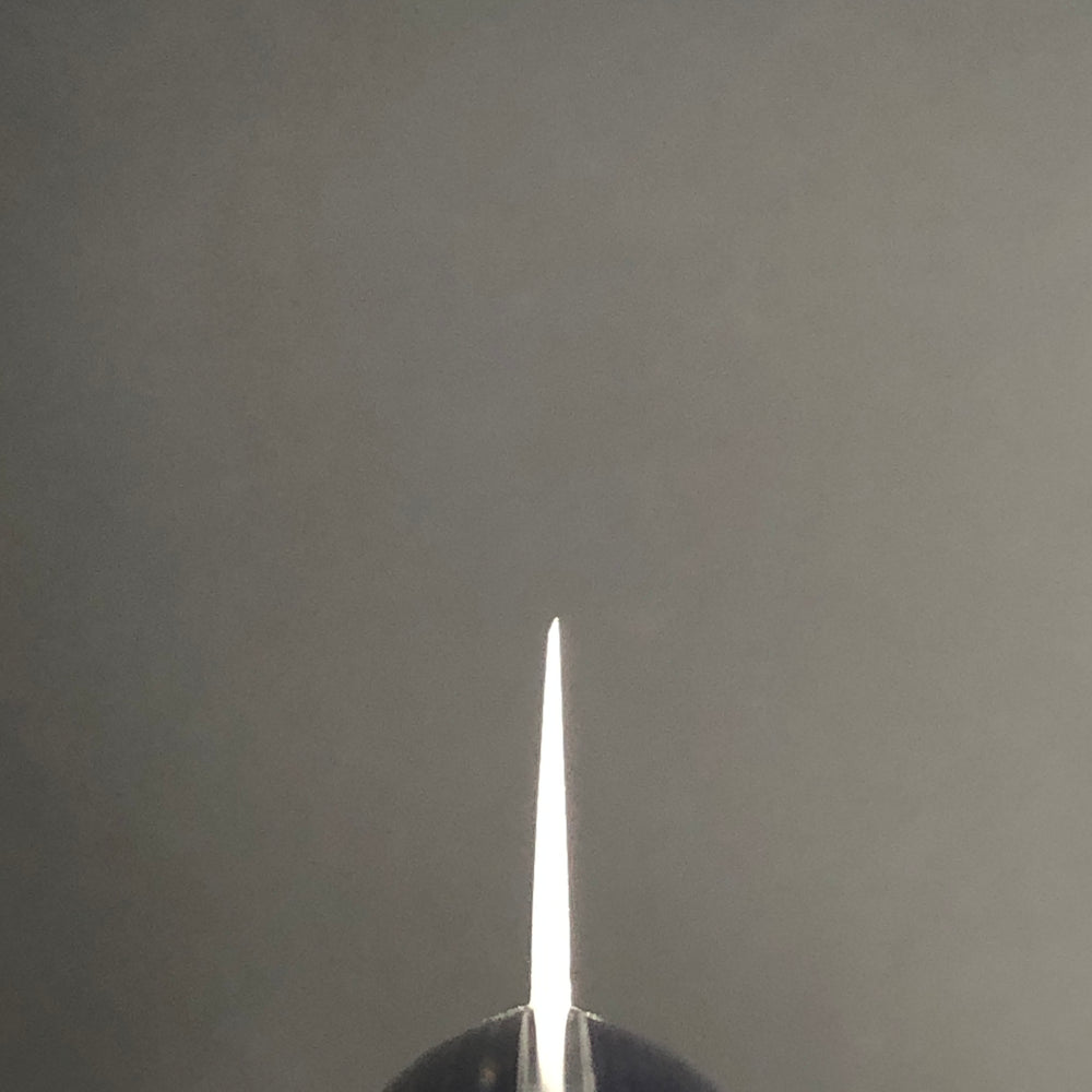 
                  
                    Honesuki 150mm (5.9in) AUS-8 Molybdenum Vanadium Stainless Double-Bevel
                  
                