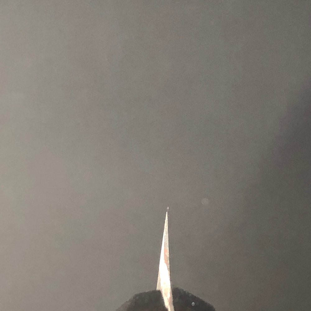 
                  
                    Yanagiba 270mm (10.6in) Aogami(Blue) No.2 Single-Bevel
                  
                